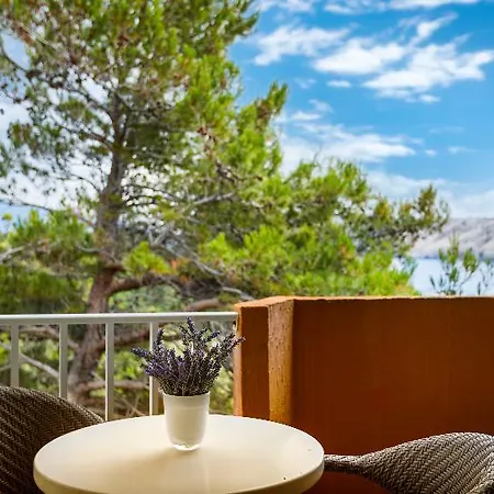 Hotel Veli Mel - San Marino Sunny By Valamar 3*